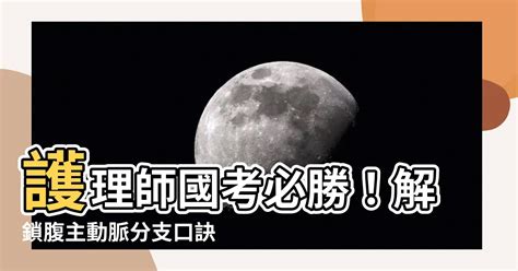 腹主動脈分支口訣|【腹主動脈分支口訣】護理師國考必勝！解鎖腹主動脈分支口訣，。